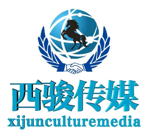 西骏 上海 文化传媒