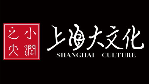 上海小润之大文化传媒
