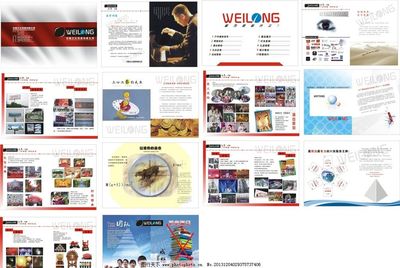伟隆宣传册图片