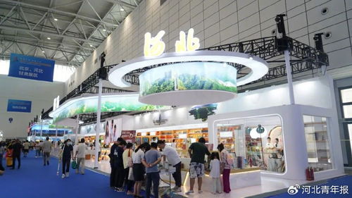 直击书博会 亮点多多 一文概览河北展团首日精彩