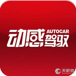 北京联办文化传媒有限责任公司 文化传媒领域的创新领航者