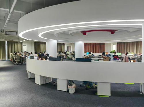 MCN赛道上的宁波黑马 文化传媒新势力的崛起与深耕